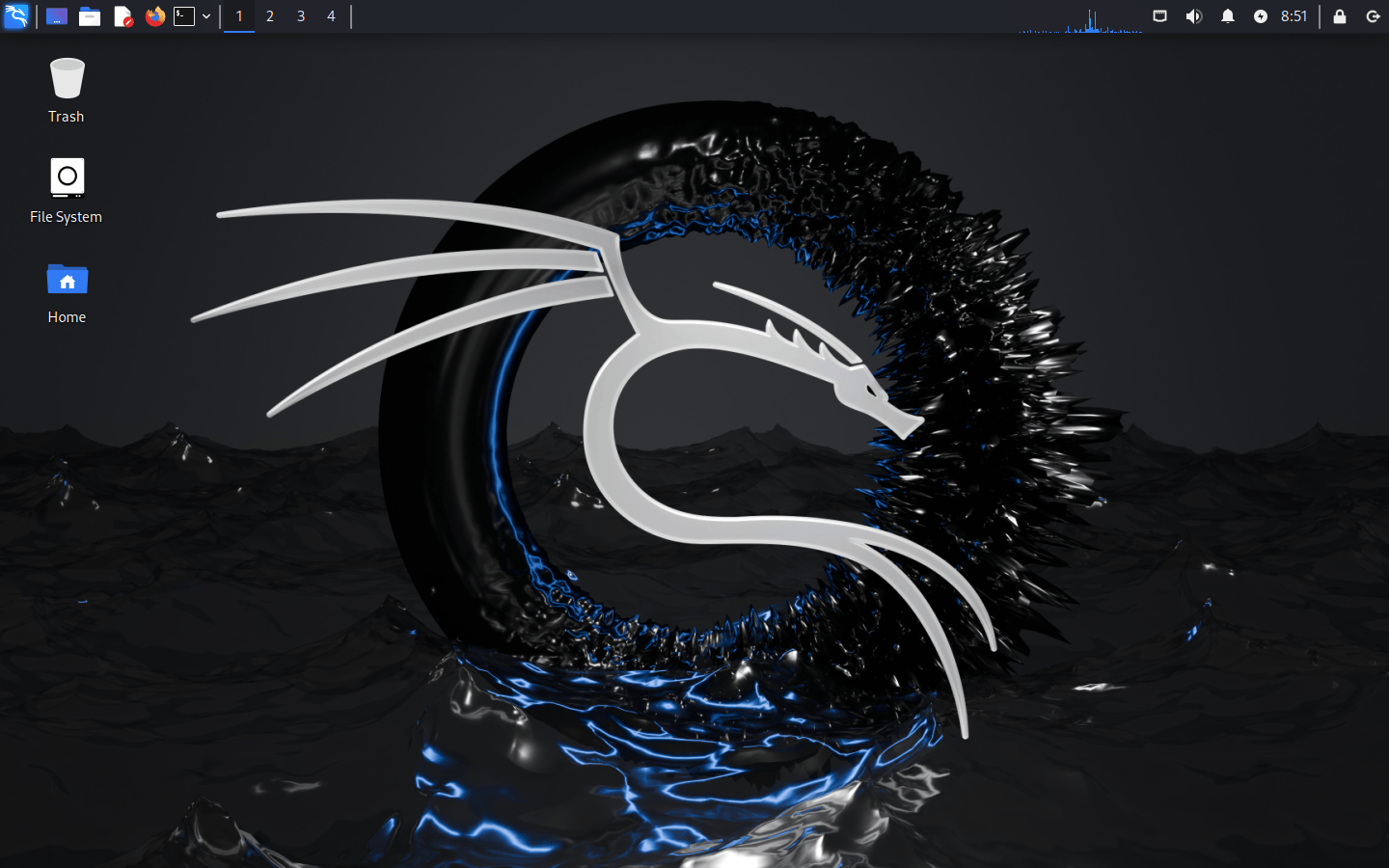 Kali Linux 2024