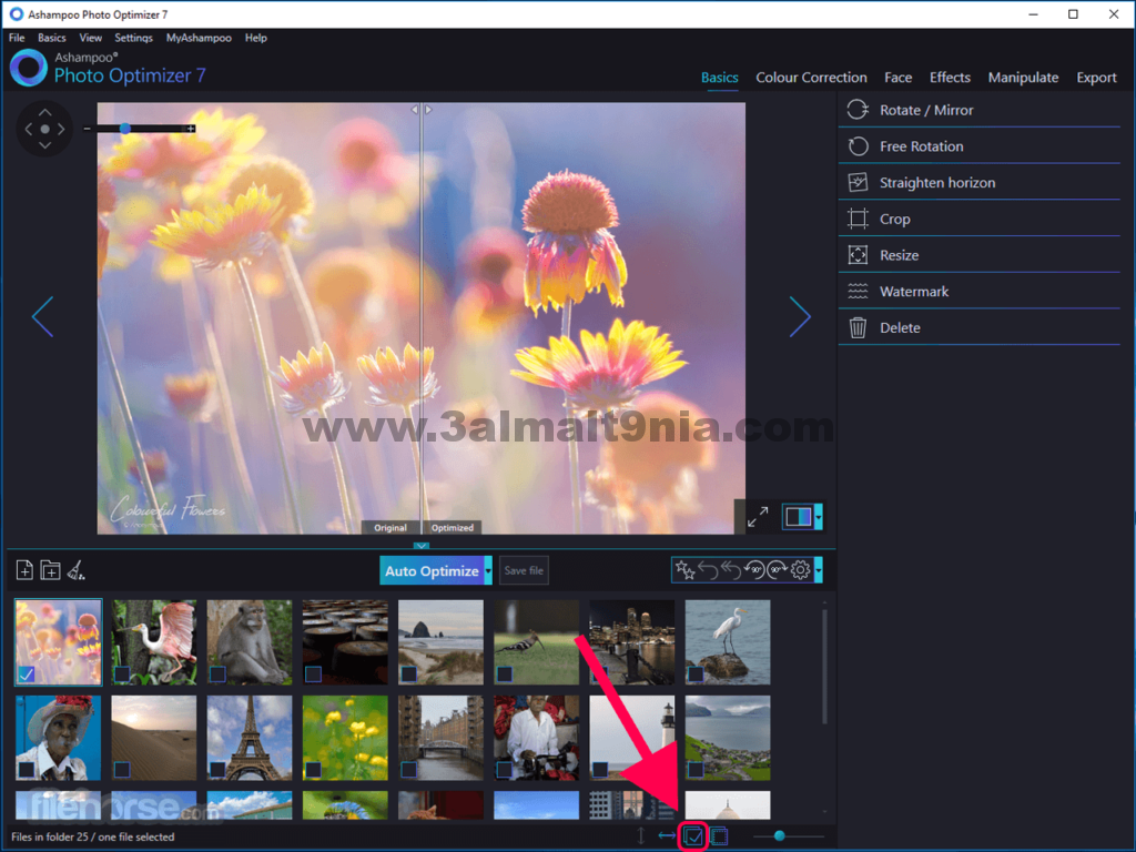 Ashampoo Photo Optimizer 9.3.7.35 instal the new version for ios