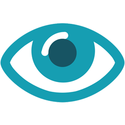 CAREUEYES Pro 2.2.10 instal the new version for ios