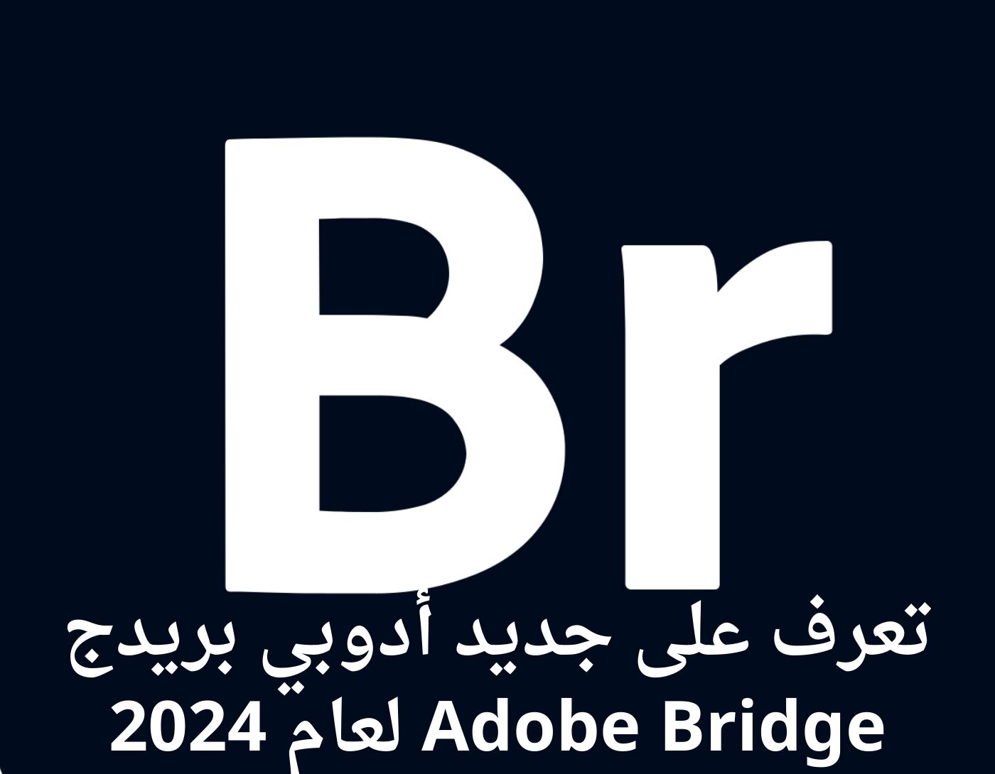 صورة واجهة برنامج Adobe Bridge
