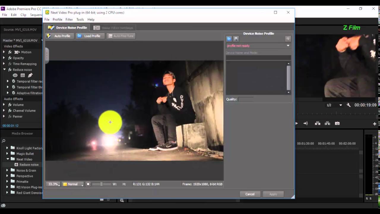 Neat Video Pro Open