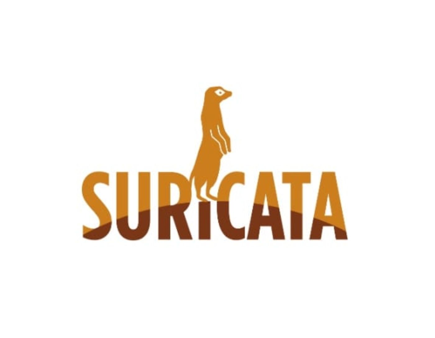 صورة واجهة أداة Suricata،دليل كامل لأنظمة الكشف عن التسلل المجانية (IDS)