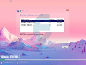 3almalt9nia.com-Win10 PRO 2009 21H1.x64 GHOSTSPECTRE Normal Boot123