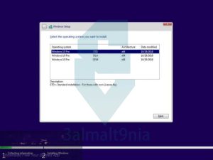 Windows-10-Pro-x64-Redstone-5-Multi-Language-24-ISO-Screenshot-2-3almalt9nia.com768x575