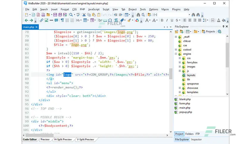 برنامج Blumentals WeBuilder 2025