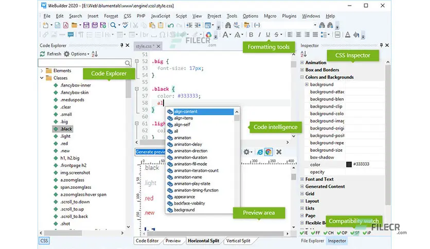 برنامج Blumentals WeBuilder 2025
