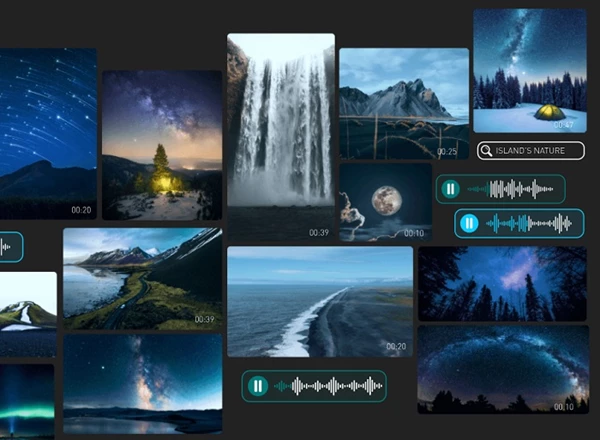 برنامج MAGIX Video Pro X17