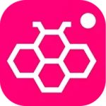 Download the Honista Mod APK for Android Version 283.0.0.20.106 - Ad-Free Pro Version - Direct Link