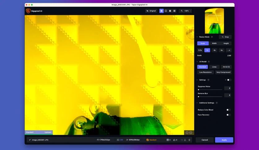برنامج Topaz Gigapixel AI for Mac