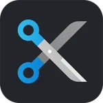 Download Ashampoo Background Remover 2.0.3 Full Version with Activation