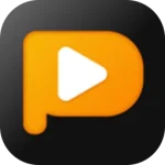 PPTube Video Downloader 11.1.0 Free Download