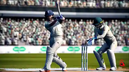 Cricket 19 