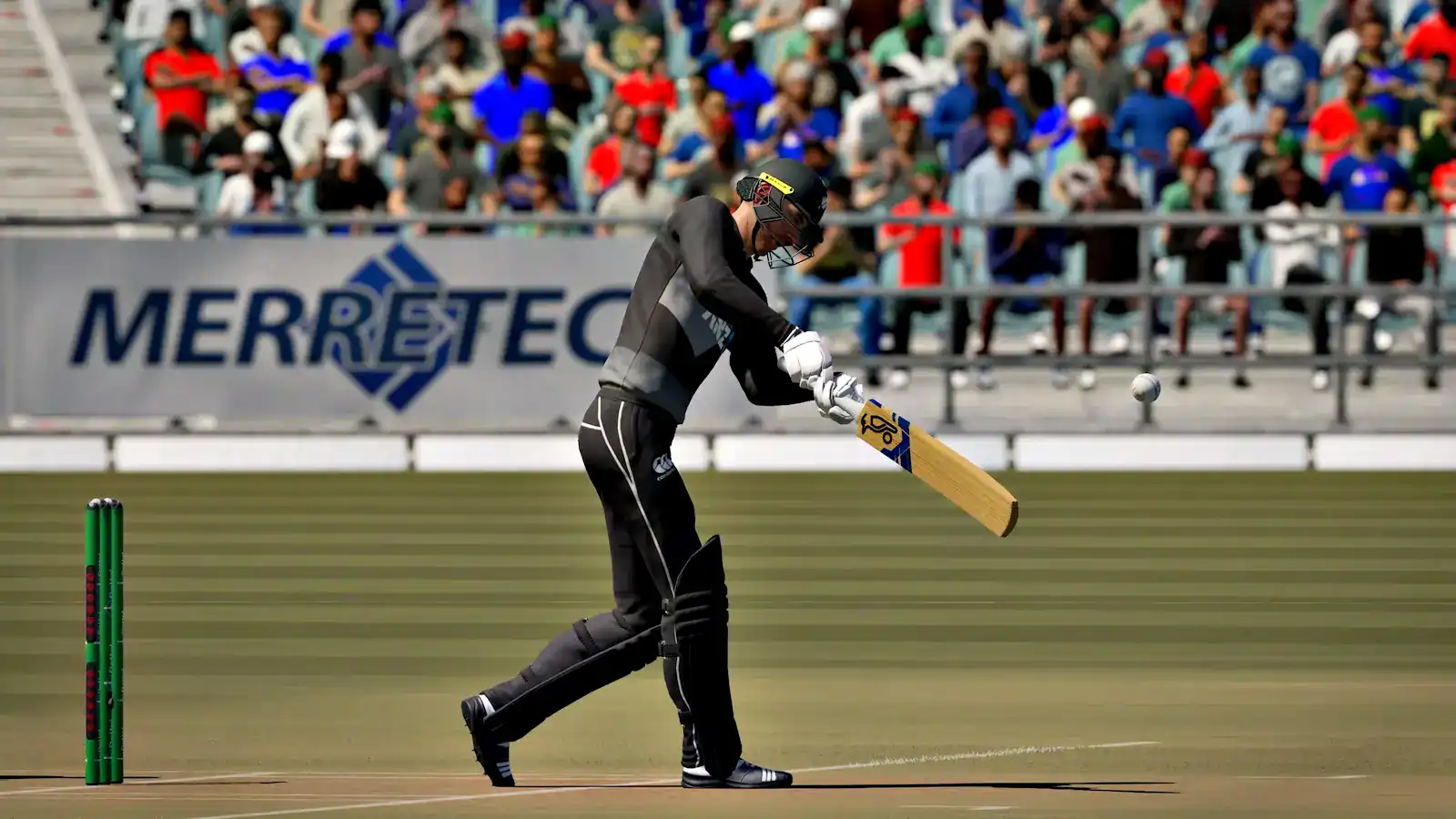 Cricket 24
