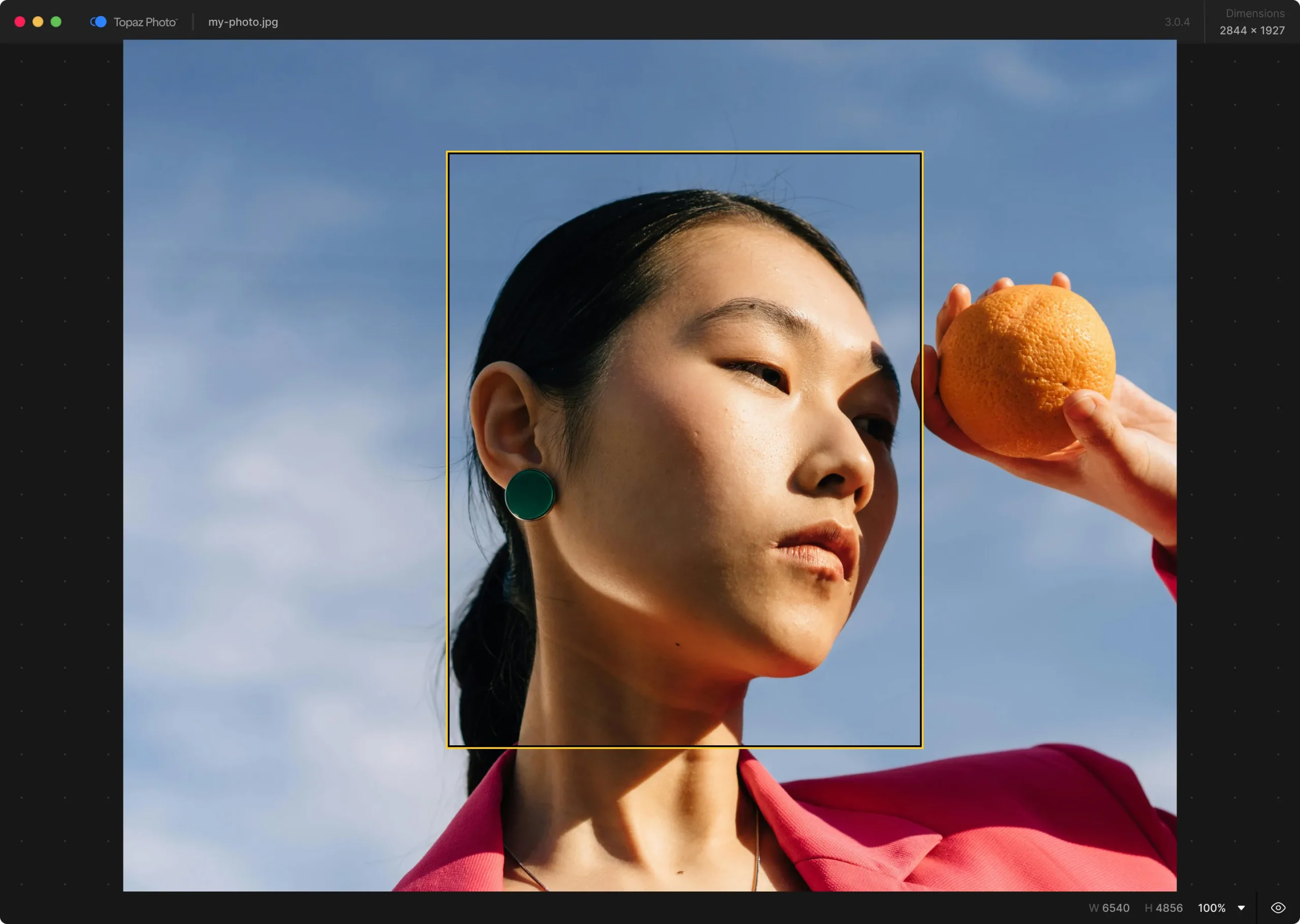 Topaz Photo Pro 